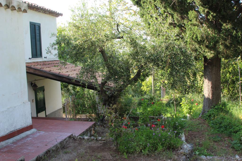 Tenuta Conte Ruggero Santa Domenica  Pokój zdjęcie